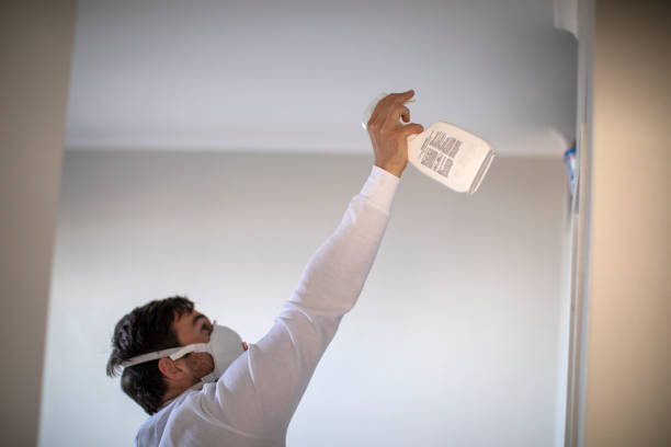 Attic Mold Removal in Cockrell Hill, TX